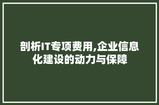 剖析IT专项费用,企业信息化建设的动力与保障 Webpack