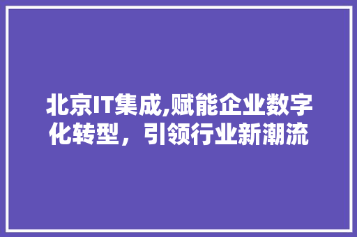 北京IT集成,赋能企业数字化转型，引领行业新潮流