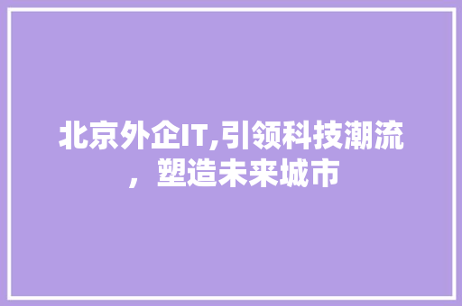 北京外企IT,引领科技潮流，塑造未来城市