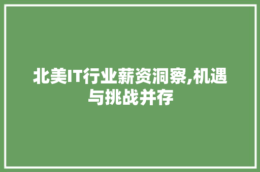 北美IT行业薪资洞察,机遇与挑战并存