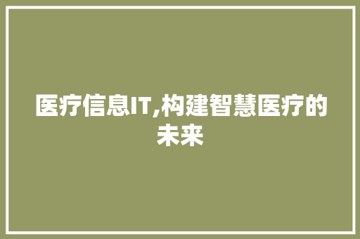 医疗信息IT,构建智慧医疗的未来