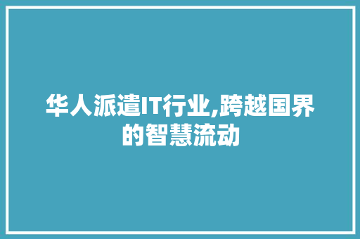 华人派遣IT行业,跨越国界的智慧流动