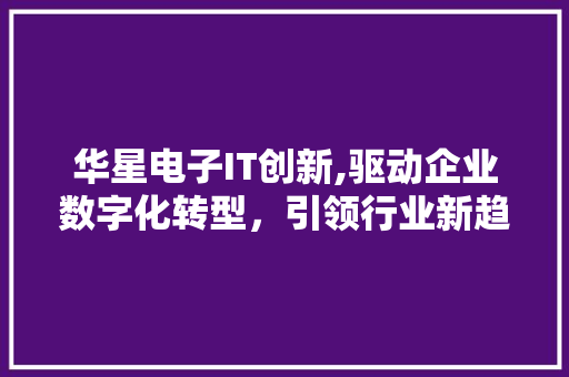 华星电子IT创新,驱动企业数字化转型，引领行业新趋势