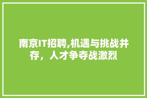 南京IT招聘,机遇与挑战并存，人才争夺战激烈