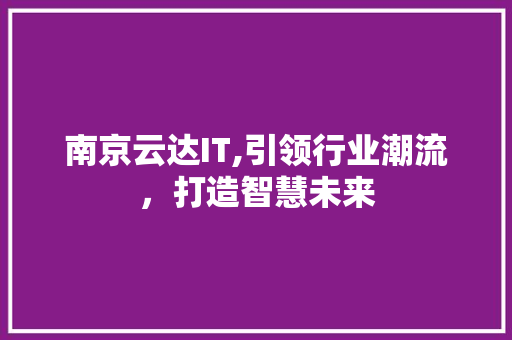 南京云达IT,引领行业潮流，打造智慧未来