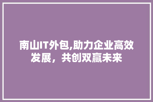 南山IT外包,助力企业高效发展，共创双赢未来