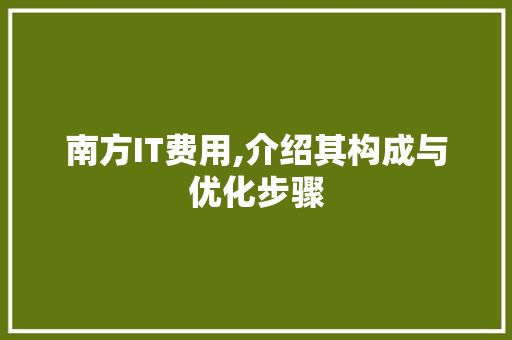 南方IT费用,介绍其构成与优化步骤