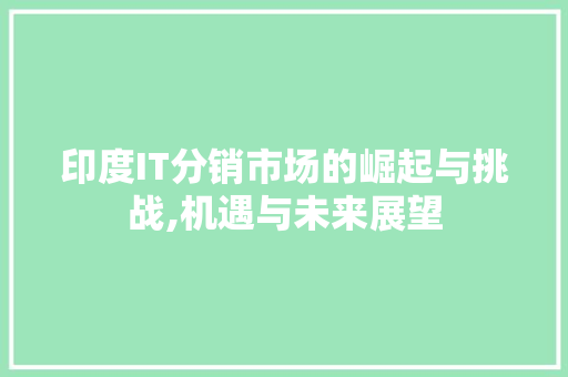 印度IT分销市场的崛起与挑战,机遇与未来展望