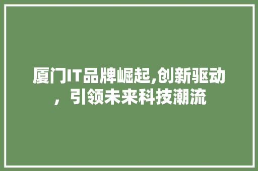 厦门IT品牌崛起,创新驱动，引领未来科技潮流