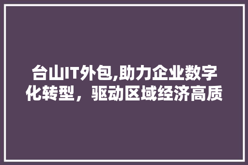 台山IT外包,助力企业数字化转型，驱动区域经济高质量发展