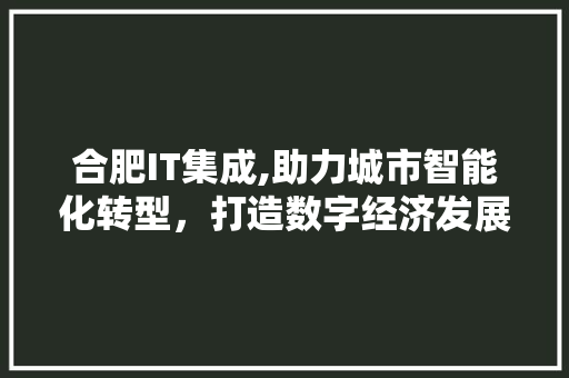 合肥IT集成,助力城市智能化转型，打造数字经济发展新引擎