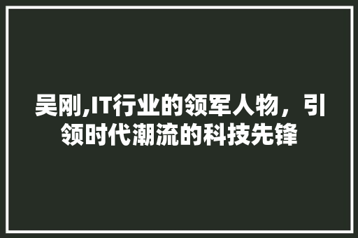 吴刚,IT行业的领军人物，引领时代潮流的科技先锋