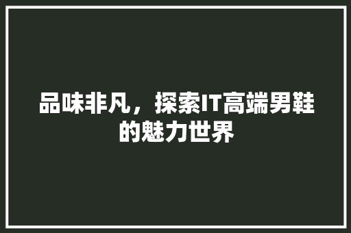 品味非凡，探索IT高端男鞋的魅力世界