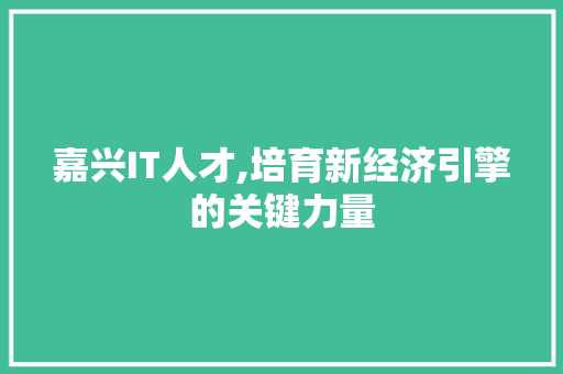 嘉兴IT人才,培育新经济引擎的关键力量