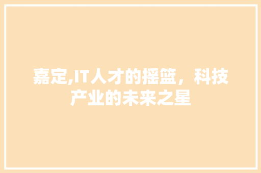 嘉定,IT人才的摇篮，科技产业的未来之星