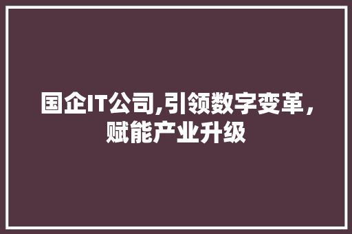 国企IT公司,引领数字变革，赋能产业升级