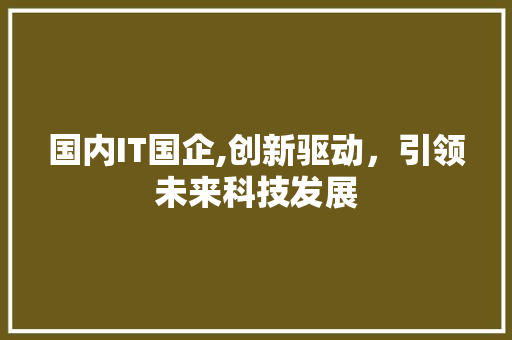 国内IT国企,创新驱动，引领未来科技发展