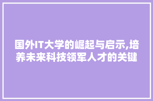 国外IT大学的崛起与启示,培养未来科技领军人才的关键步骤