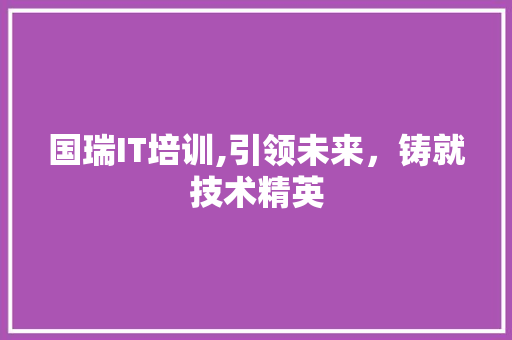 国瑞IT培训,引领未来，铸就技术精英