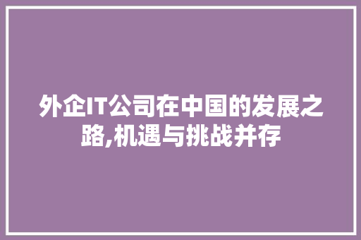 外企IT公司在中国的发展之路,机遇与挑战并存