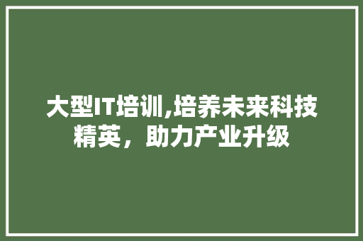 大型IT培训,培养未来科技精英，助力产业升级