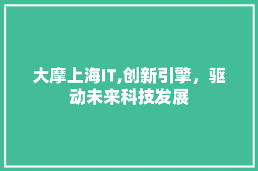 大摩上海IT,创新引擎，驱动未来科技发展