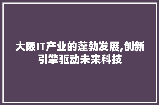 大阪IT产业的蓬勃发展,创新引擎驱动未来科技