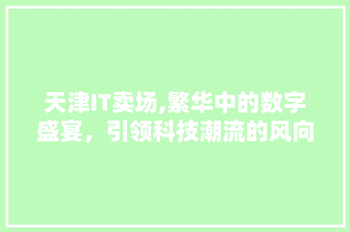 天津IT卖场,繁华中的数字盛宴，引领科技潮流的风向标