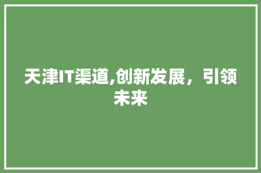 天津IT渠道,创新发展，引领未来