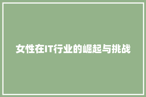 女性在IT行业的崛起与挑战