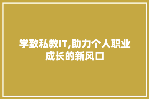 学致私教IT,助力个人职业成长的新风口