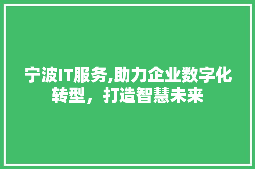 宁波IT服务,助力企业数字化转型，打造智慧未来