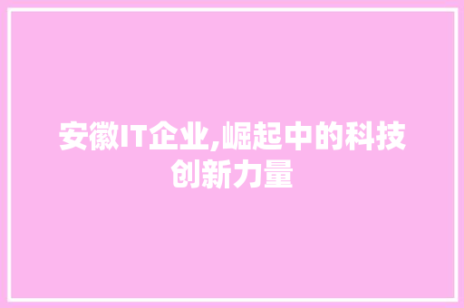 安徽IT企业,崛起中的科技创新力量