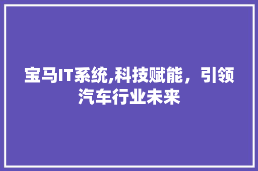 宝马IT系统,科技赋能，引领汽车行业未来