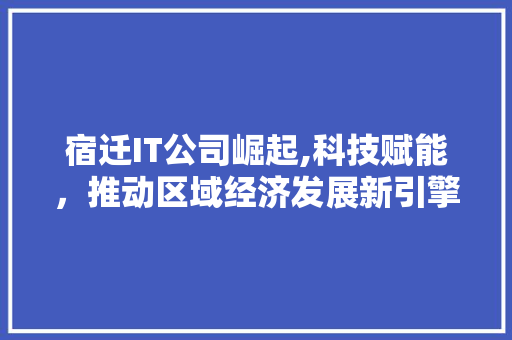 宿迁IT公司崛起,科技赋能，推动区域经济发展新引擎