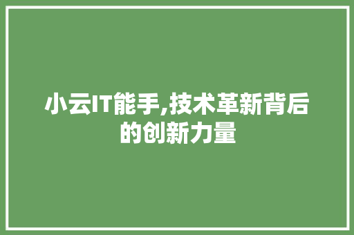 小云IT能手,技术革新背后的创新力量