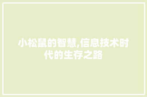 小松鼠的智慧,信息技术时代的生存之路