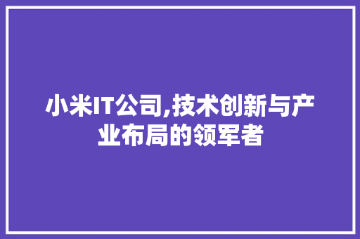 小米IT公司,技术创新与产业布局的领军者