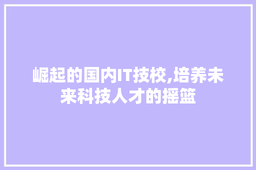 崛起的国内IT技校,培养未来科技人才的摇篮