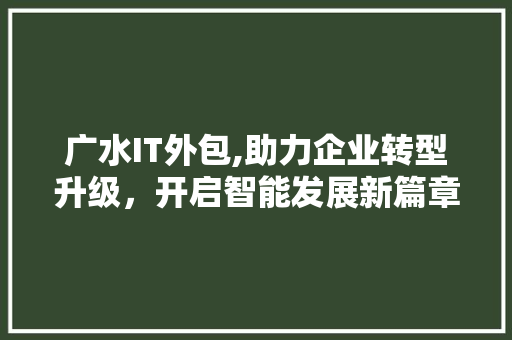 广水IT外包,助力企业转型升级，开启智能发展新篇章