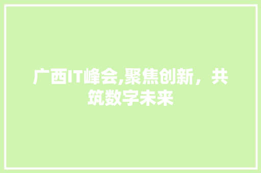 广西IT峰会,聚焦创新，共筑数字未来