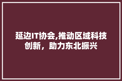 延边IT协会,推动区域科技创新，助力东北振兴