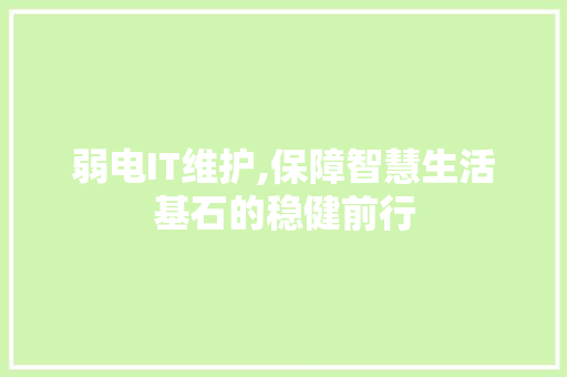 弱电IT维护,保障智慧生活基石的稳健前行