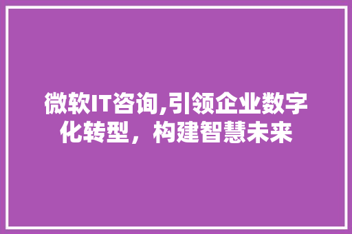 微软IT咨询,引领企业数字化转型，构建智慧未来