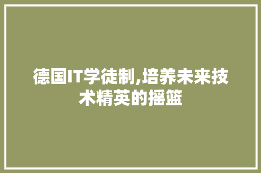 德国IT学徒制,培养未来技术精英的摇篮