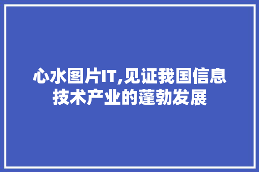 心水图片IT,见证我国信息技术产业的蓬勃发展