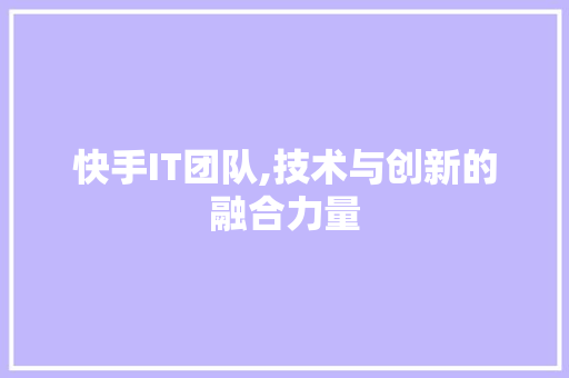 快手IT团队,技术与创新的融合力量