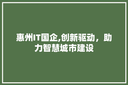 惠州IT国企,创新驱动，助力智慧城市建设