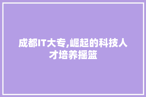 成都IT大专,崛起的科技人才培养摇篮