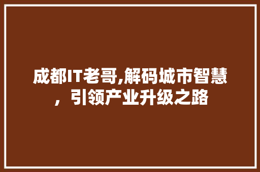 成都IT老哥,解码城市智慧，引领产业升级之路